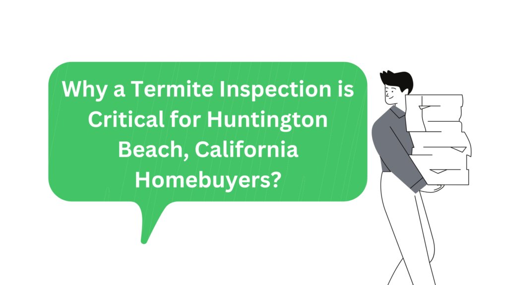 Why a Termite Inspection is Critical for Huntington Beach Homebuyers