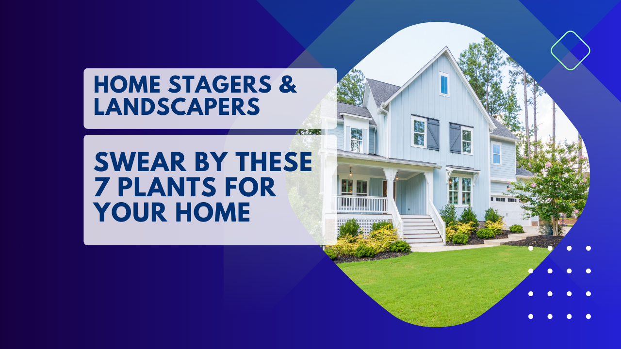 Home Stagers Landscapers Swear By These  Plants for Your Home