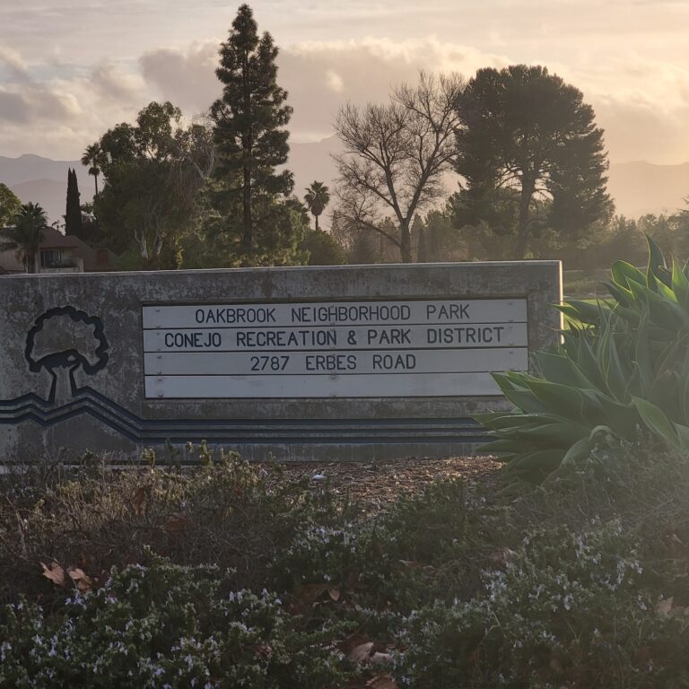 Best real estate agent in Thousand Oaks