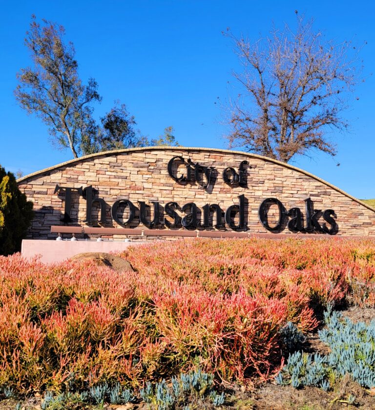 Best real estate agent in Thousand Oaks
