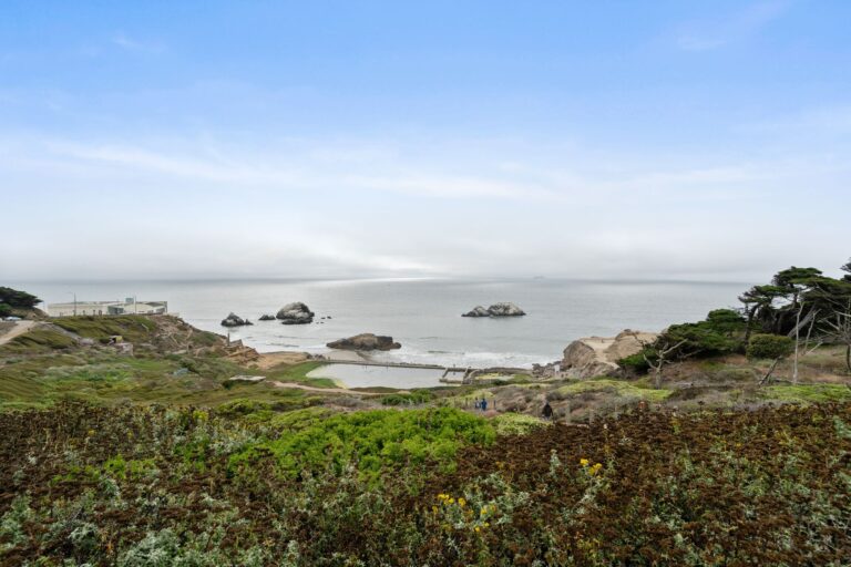 Best real estate agent in San Francisco