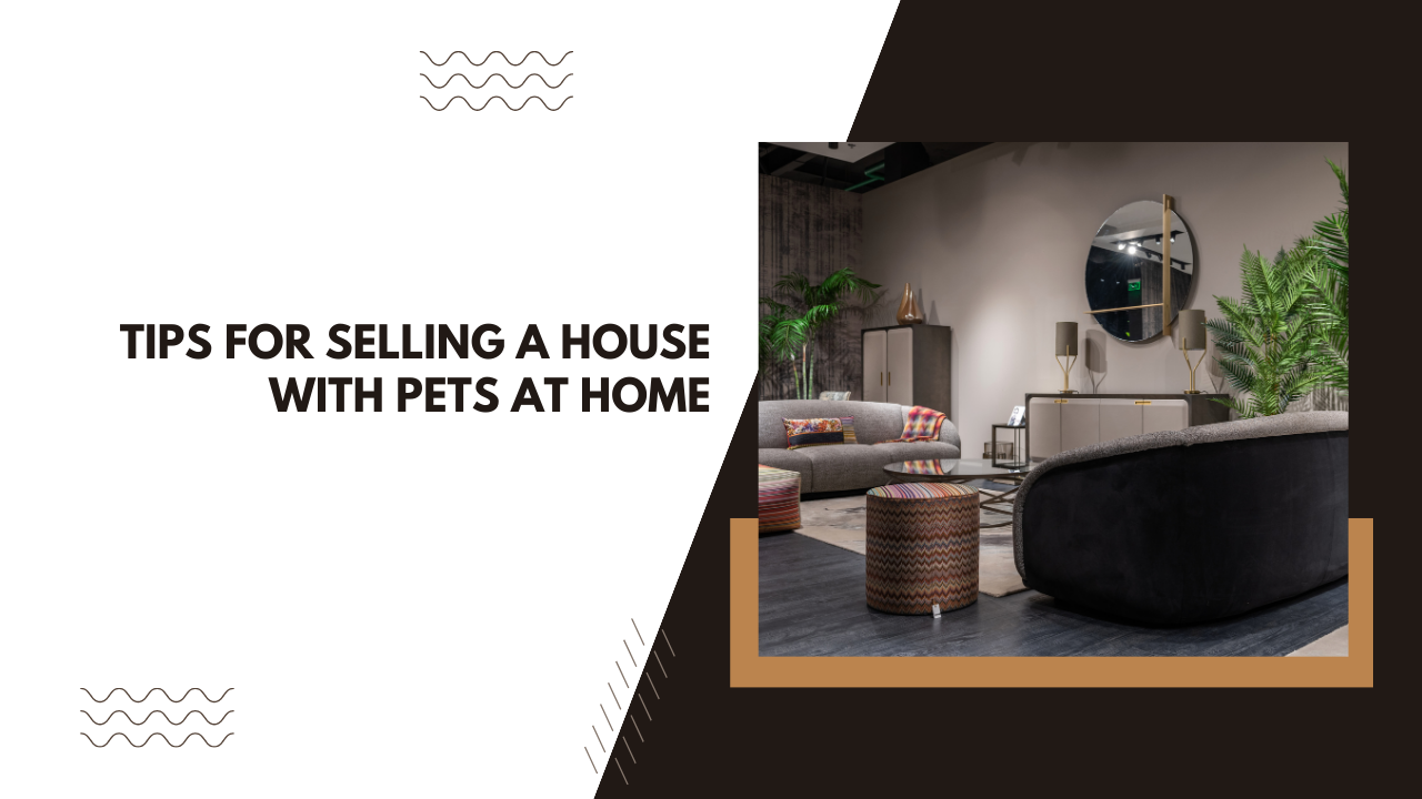 Tips for Selling a House With Pets at Home