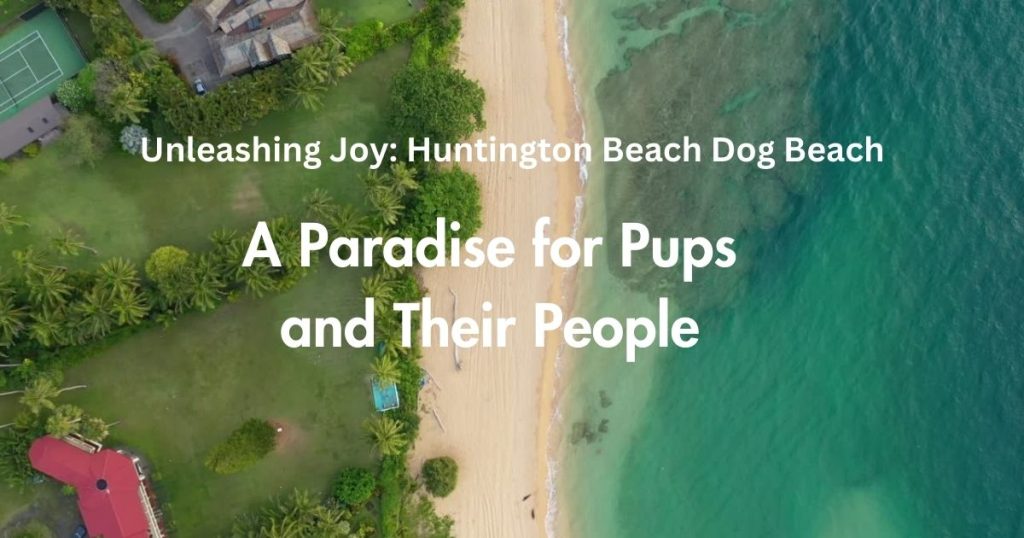 Unleashing Joy: Huntington Beach Dog Beach - A Paradise for Pups and Their People