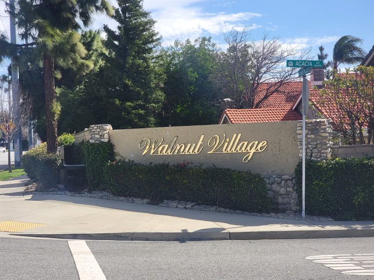 Best real estate agent in Fontana