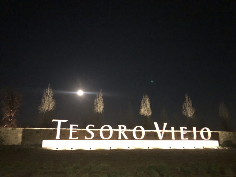 Top Real Estate Agent in Madera