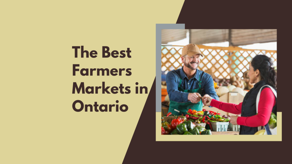 The Best Farmers Markets in Ontario