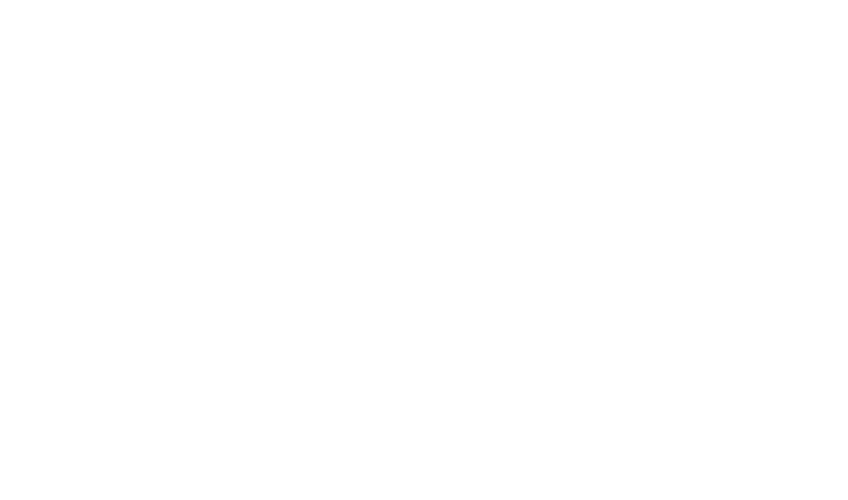 Mr Chino Hills logo