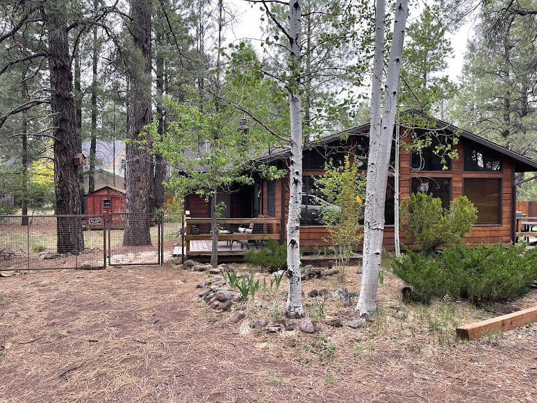 Top Real Estate Agent in Flagstaff