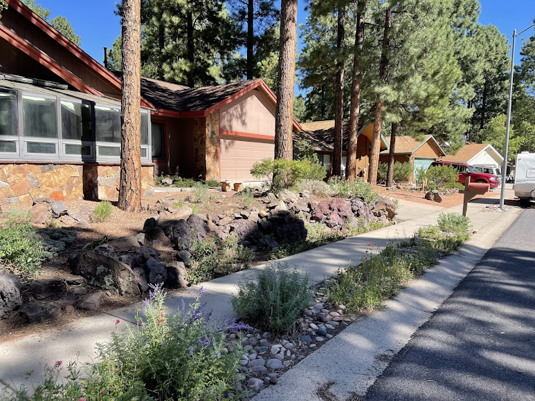 Top Real Estate Agent in Flagstaff