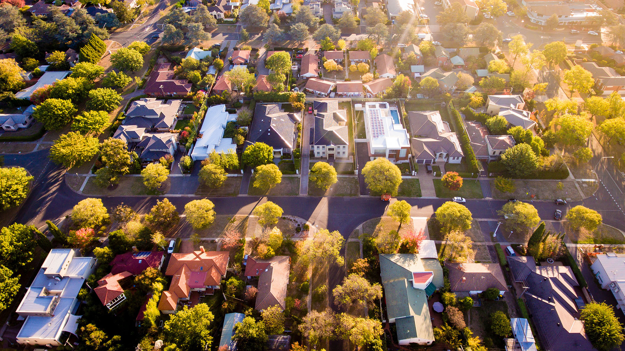 Top Real Estate Agent in Alamo Ranch