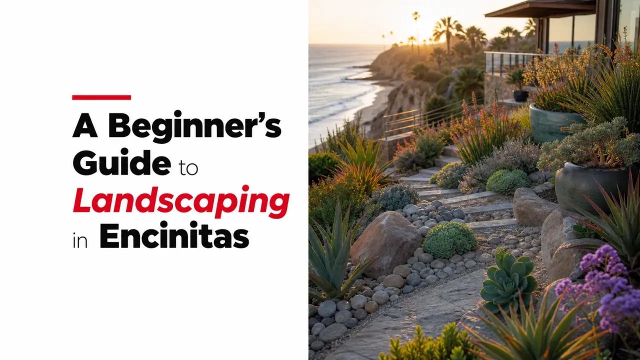 A Beginner’s Guide to Landscaping in Encinitas