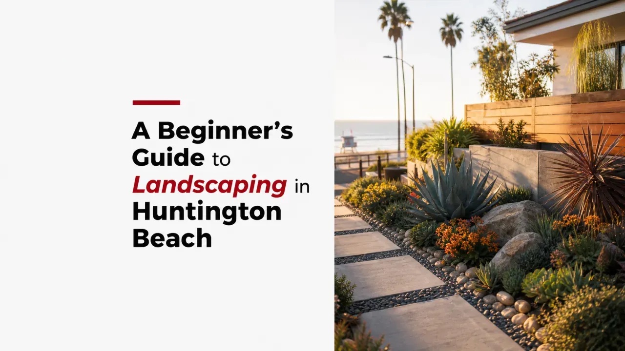 A Beginner’s Guide to Landscaping in Huntington Beach