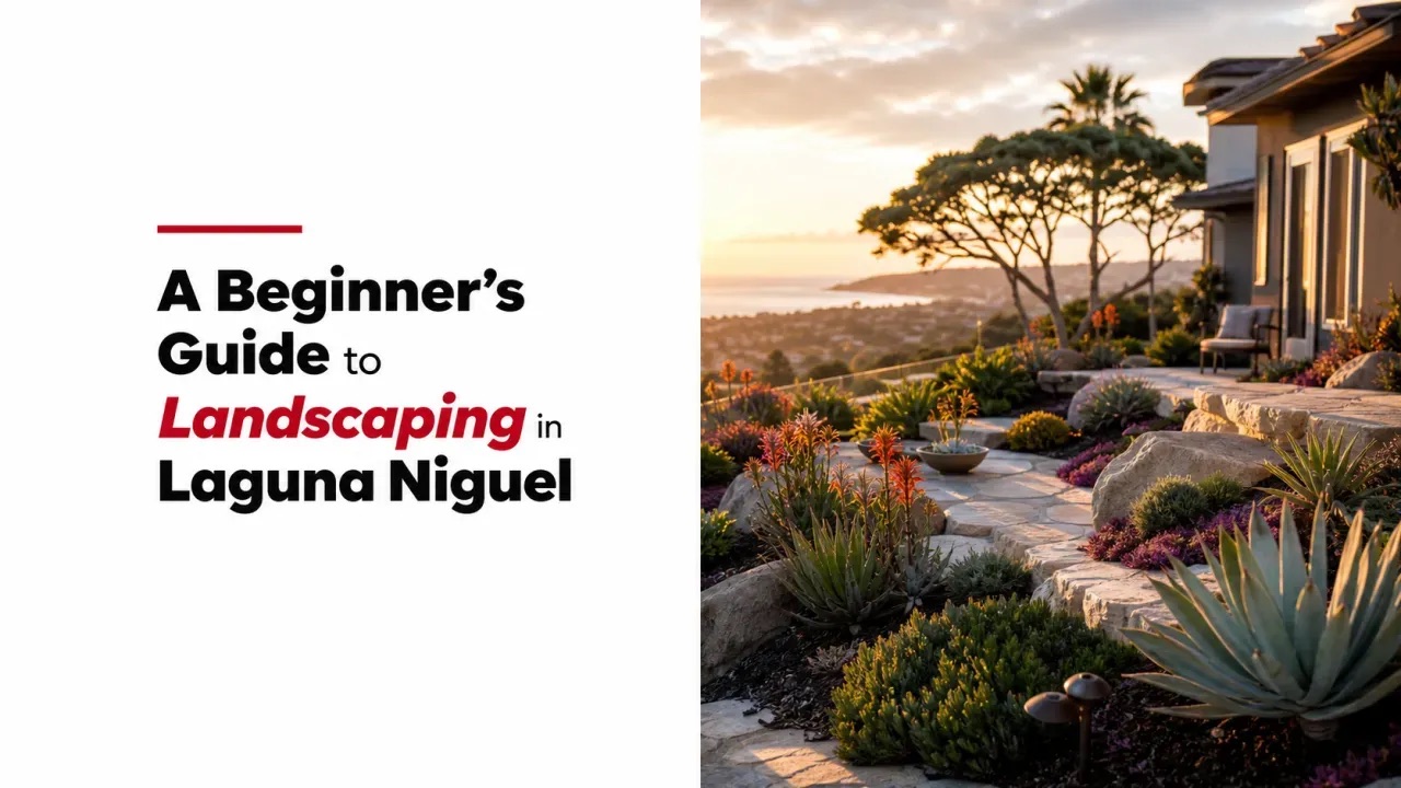 A Beginner’s Guide to Landscaping in Laguna Niguel