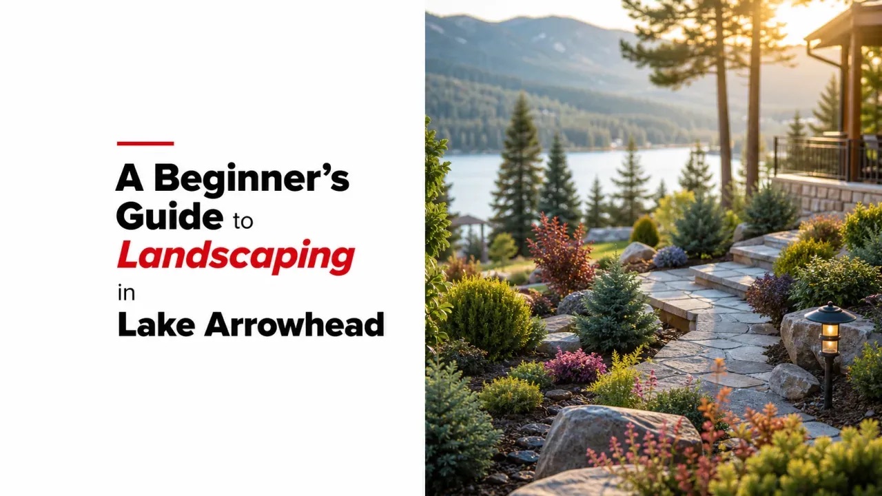 A Beginner’s Guide to Landscaping in Lake Arrowhead