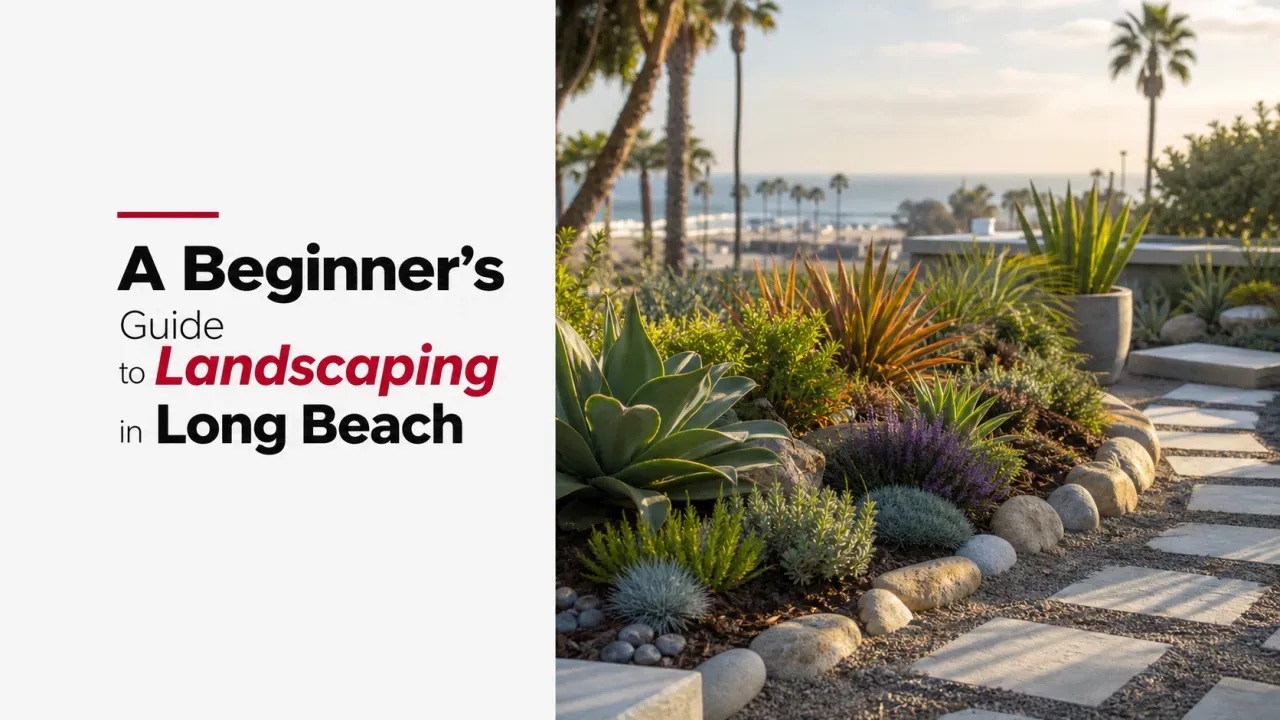 A Beginner’s Guide to Landscaping in Long Beach