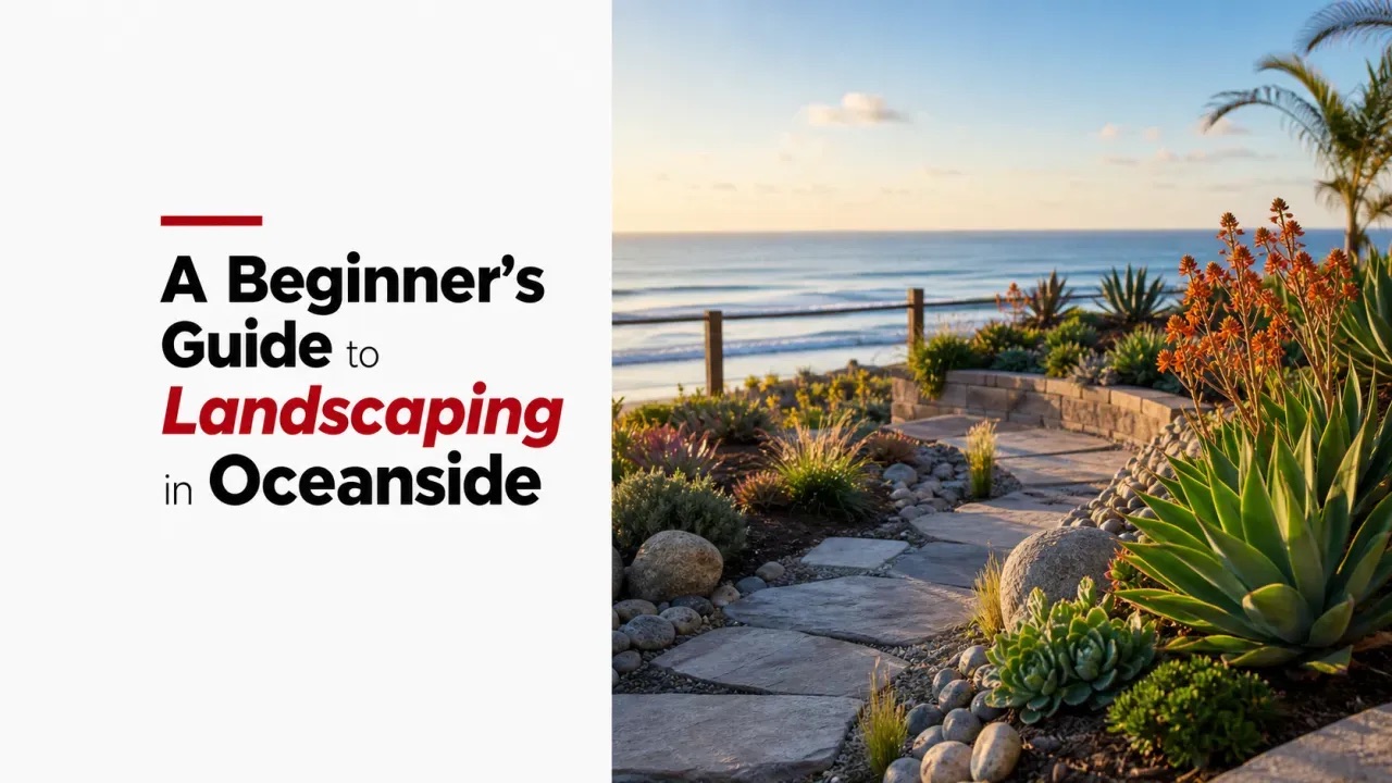 A Beginner’s Guide to Landscaping in Oceanside