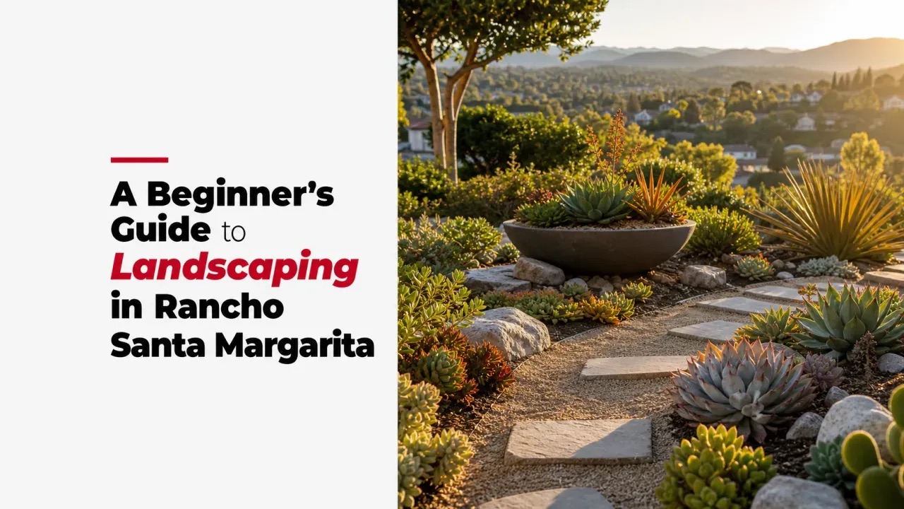 A Beginner’s Guide to Landscaping in Rancho Santa Margarita