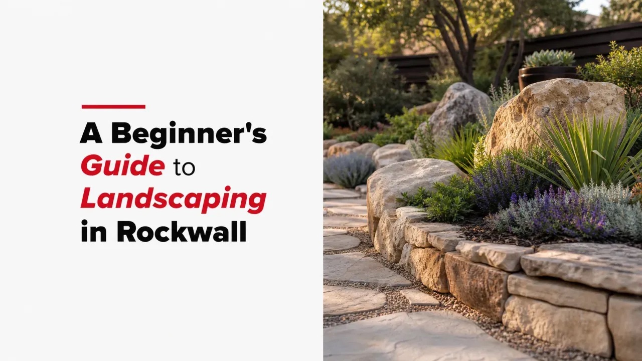 A Beginner’s Guide to Landscaping in Rockwall