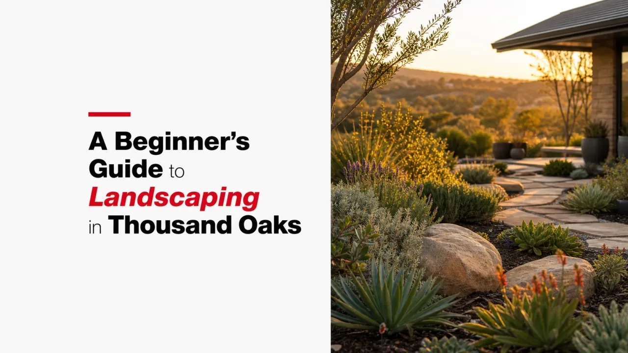 A Beginner’s Guide to Landscaping in Thousand Oaks