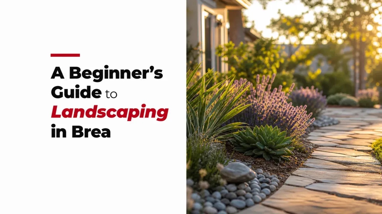 A Beginner’s Guide to Landscaping in Brea