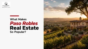 What Makes Paso Robles Real Estate So Popular?