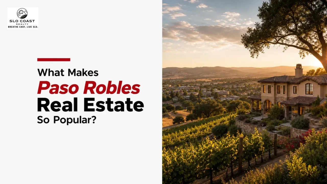 What Makes Paso Robles Real Estate So Popular?