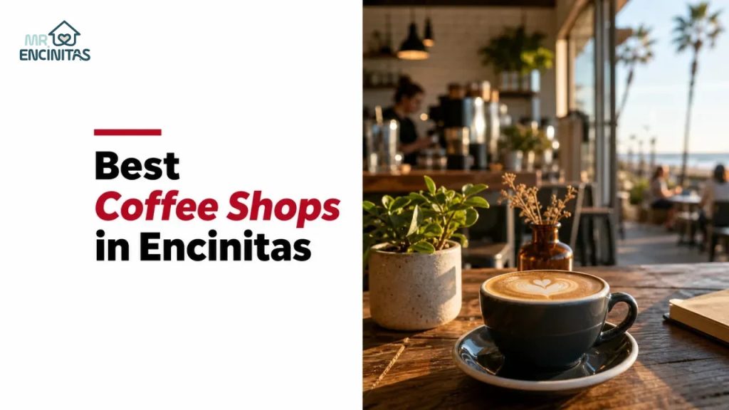 Best Coffee Shops in Encinitas