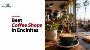 Best Coffee Shops in Encinitas