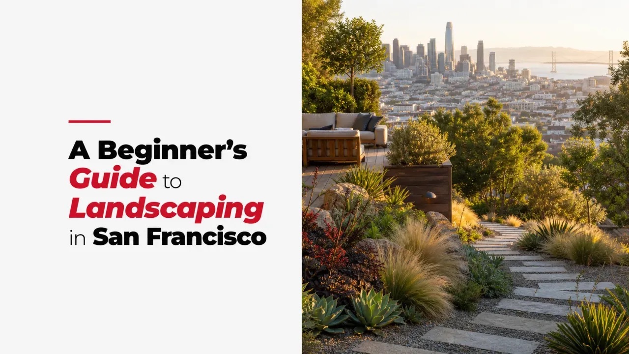 A Beginner’s Guide to Landscaping in San Francisco