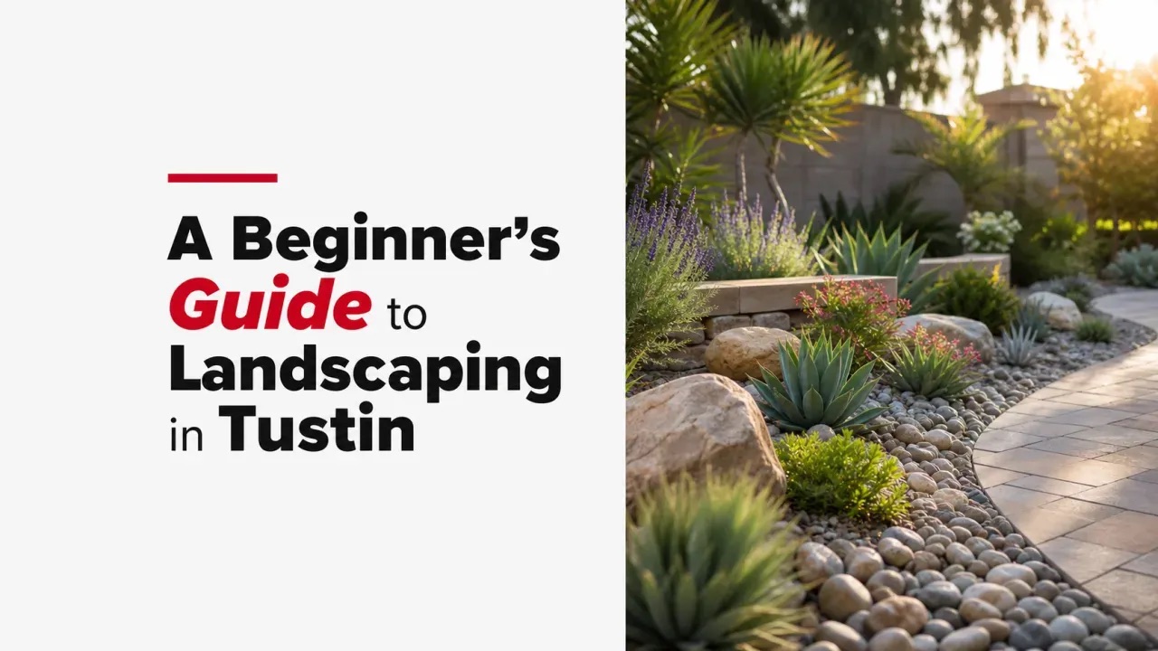 A Beginner’s Guide to Landscaping in Tustin