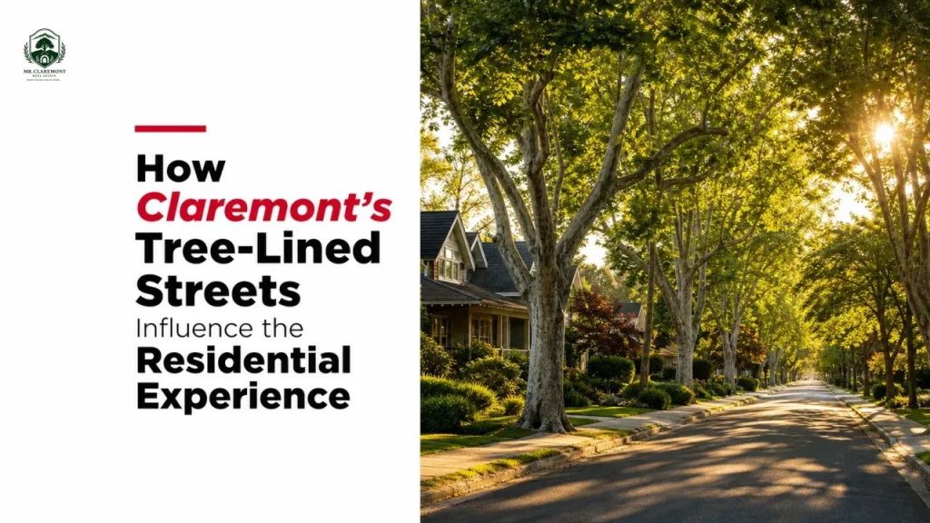 How Claremont's Tree-Lined Streets Influence the Residential Experience