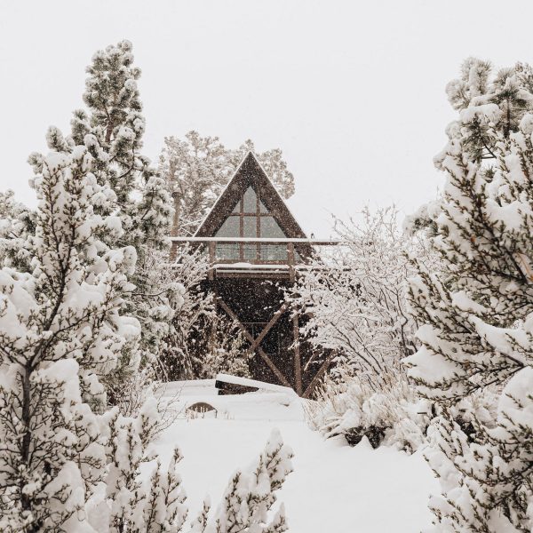 Top Rated Real Estate Agent in Big Bear